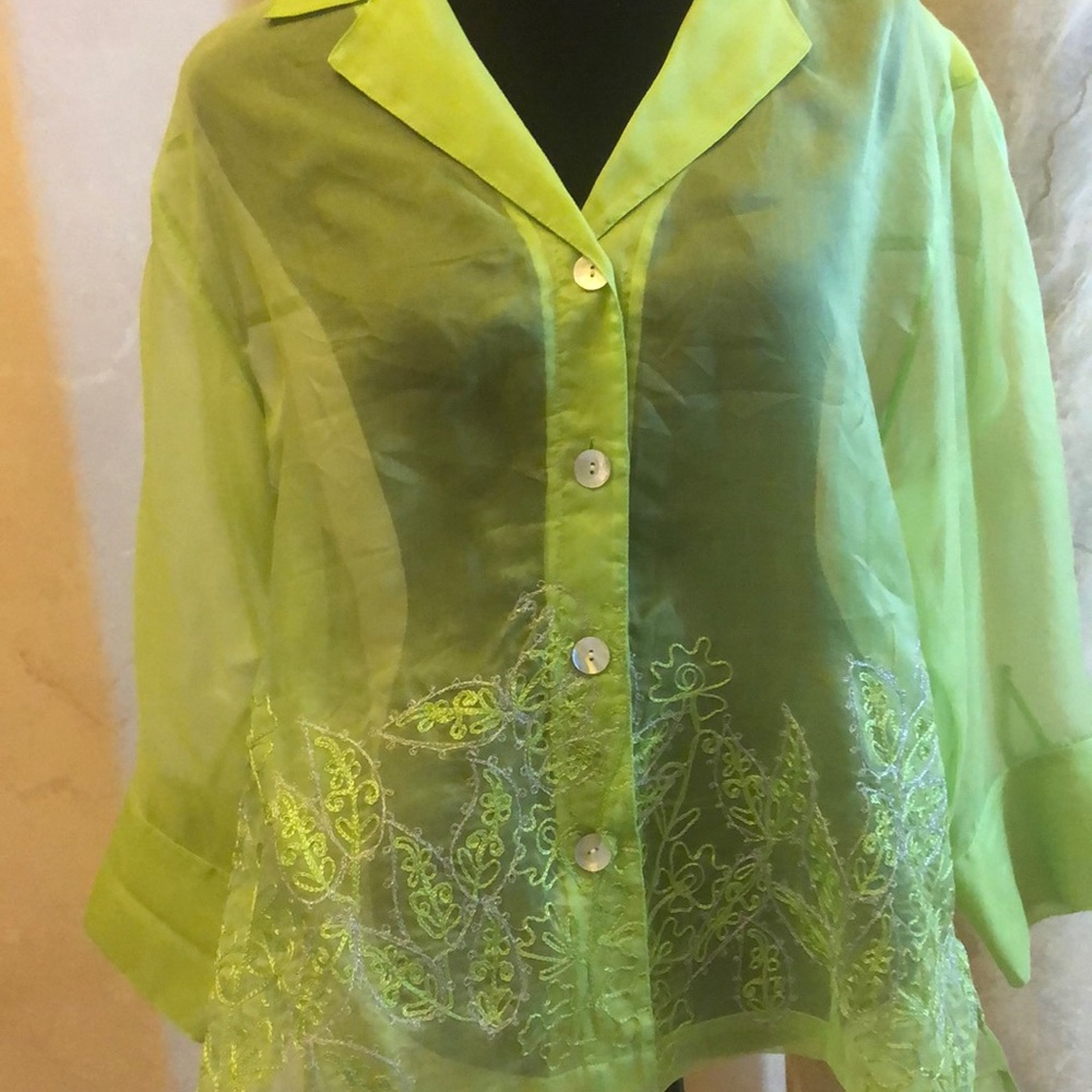 Drapers and Damon’s SILK Organza Sheer Blouse